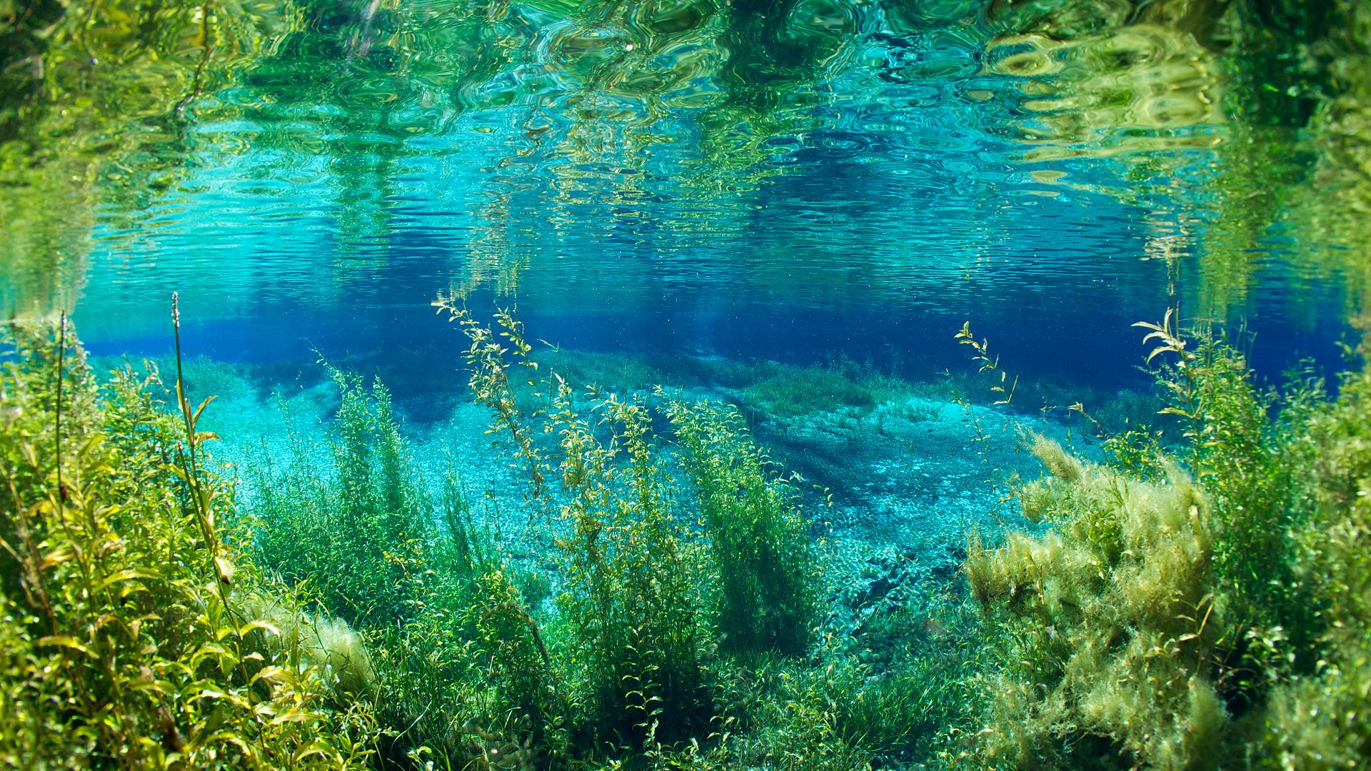 Dify的Chatflow实现